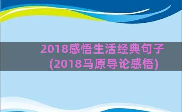 2018感悟生活经典句子(2018马原导论感悟)