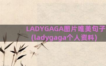 LADYGAGA图片唯美句子(ladygaga个人资料)