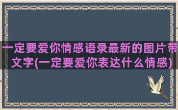 一定要爱你情感语录最新的图片带文字(一定要爱你表达什么情感)