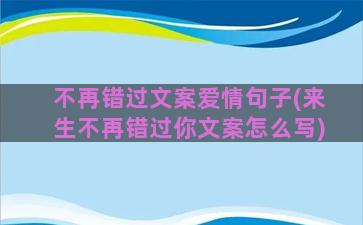 不再错过文案爱情句子(来生不再错过你文案怎么写)