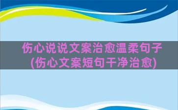 伤心说说文案治愈温柔句子(伤心文案短句干净治愈)