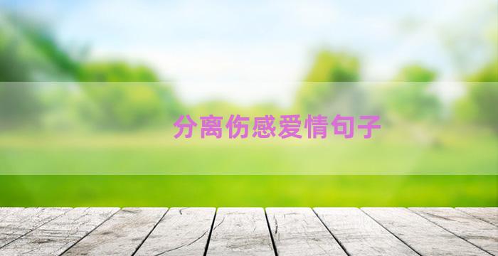 分离伤感爱情句子