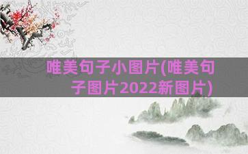 唯美句子小图片(唯美句子图片2022新图片)