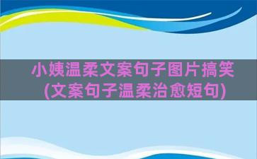 小姨温柔文案句子图片搞笑(文案句子温柔治愈短句)