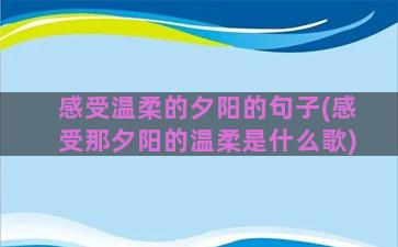 感受温柔的夕阳的句子(感受那夕阳的温柔是什么歌)