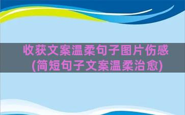 收获文案温柔句子图片伤感(简短句子文案温柔治愈)