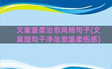 文案温柔治愈风格句子(文案短句干净治愈温柔伤感)