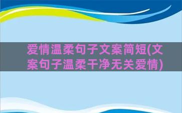 爱情温柔句子文案简短(文案句子温柔干净无关爱情)