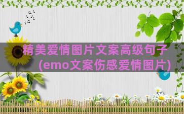 精美爱情图片文案高级句子(emo文案伤感爱情图片)